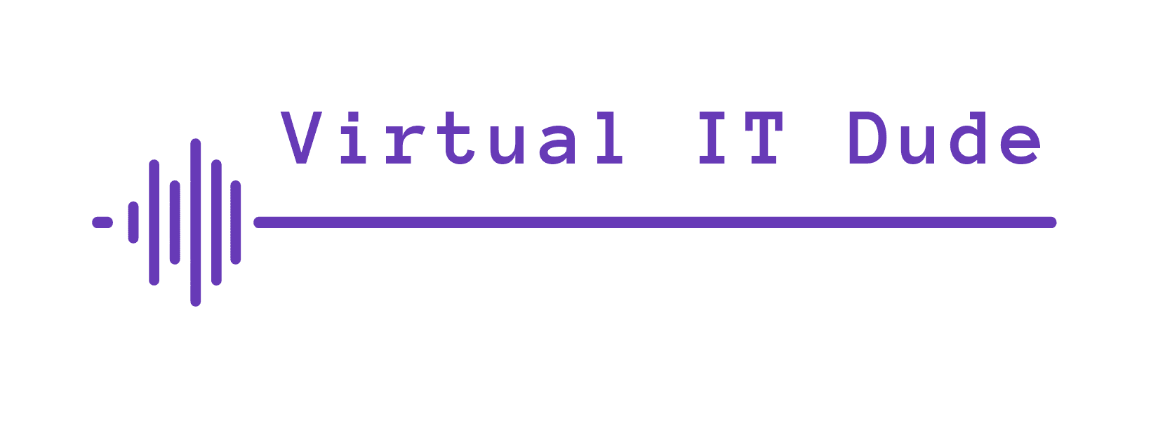 Virtual IT Dude
